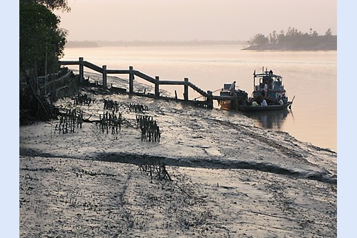 Viaggio in India 2008 - Sunderbans